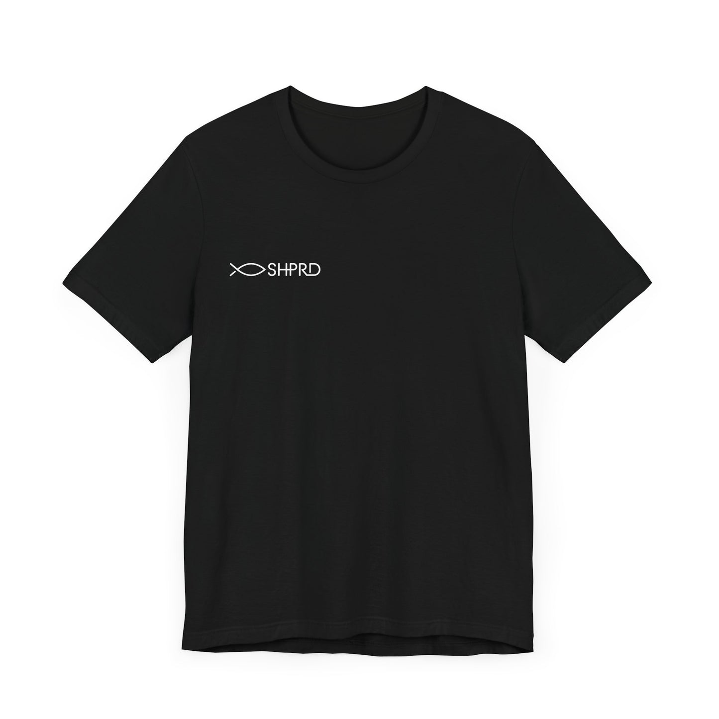 Phillippians 4:13 T-Shirt